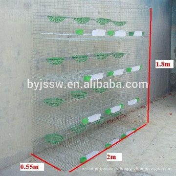 Hot Sale in Saudi Arabia Strong Pigeon Cages